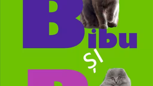 copertabibusibea.jpg