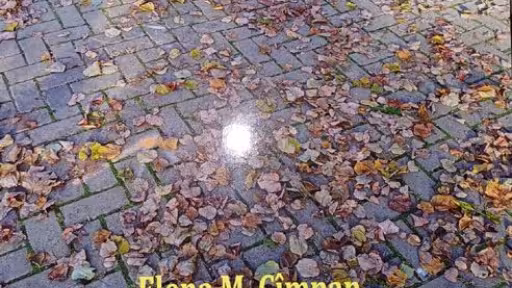 clipboard09.jpg