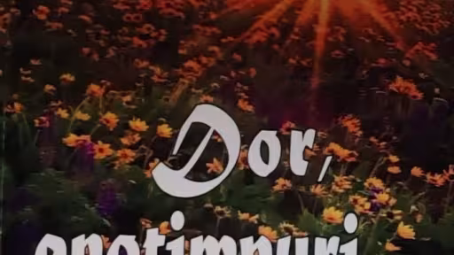 dorbn.jpg