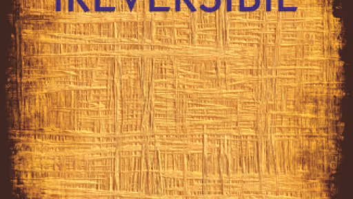 radu-sergiu-ruba-ireversibil.png