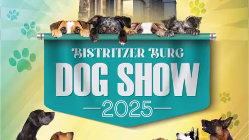 dog.jpg