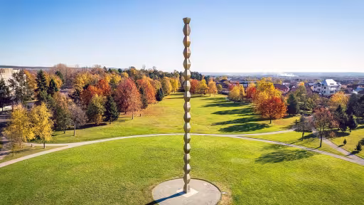 portretbrancusisauosculpturadebrancusi.jpg