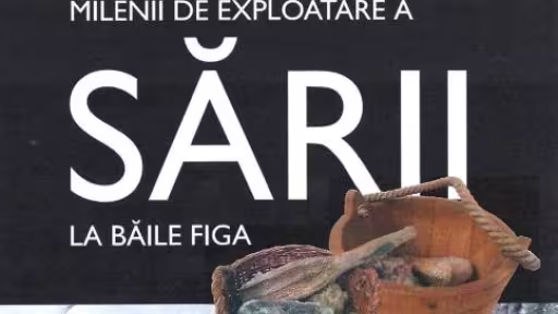 sare.jpg