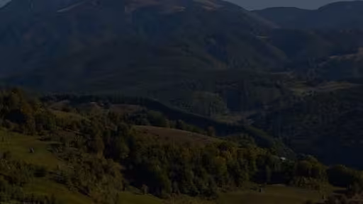 tarli.jpg