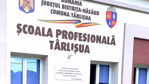tarlisua.jpeg