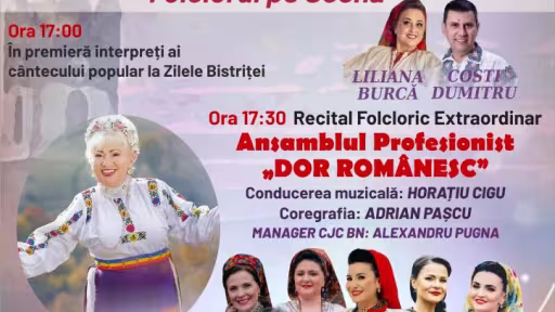 zilelebistriteidorromanesc2025final.jpg