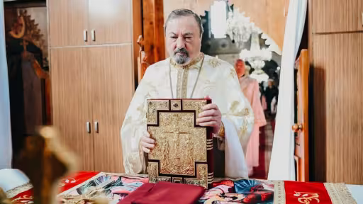 protopopalexandruvidican.jpg