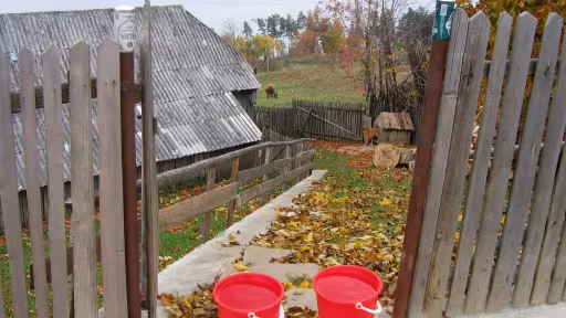 vecinelelavorba.jpg
