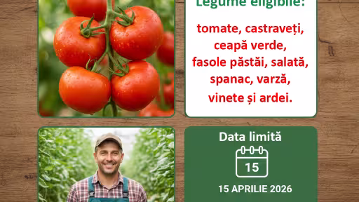 legume.jpg