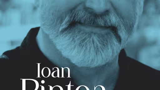 pintea2.jpg
