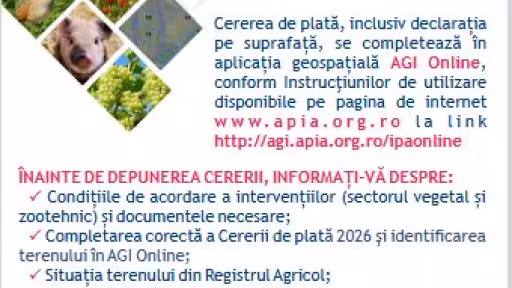 apiacampanie.jpg
