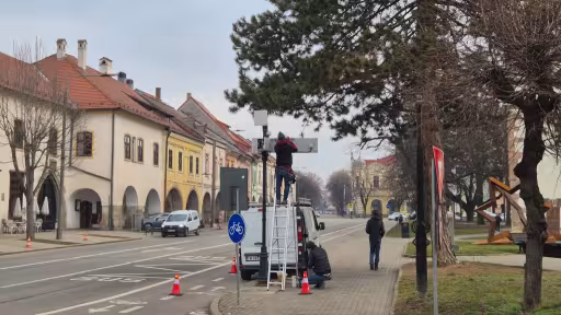 statii.jpg