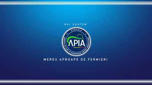 apis.png