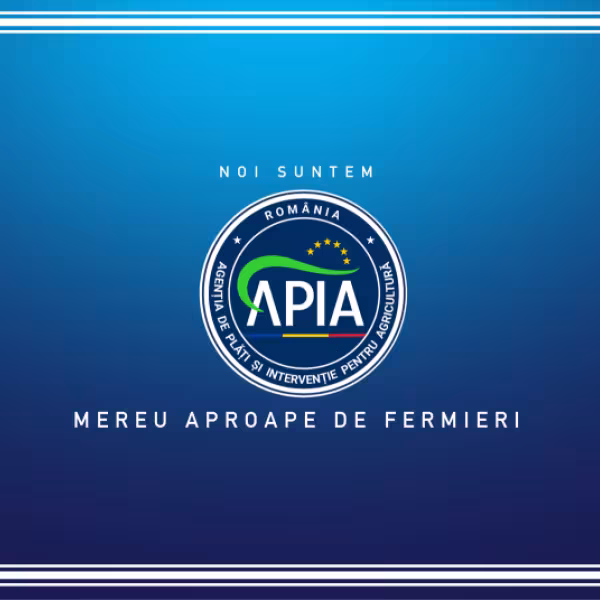 apis.png
